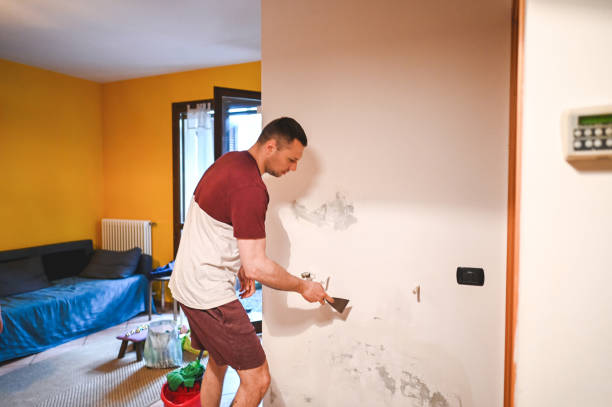 Professional Mold Removal in Buttonwillow, CA
