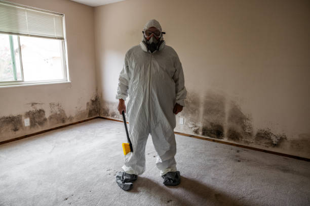 Best Emergency Mold Removal  in Buttonwillow, CA